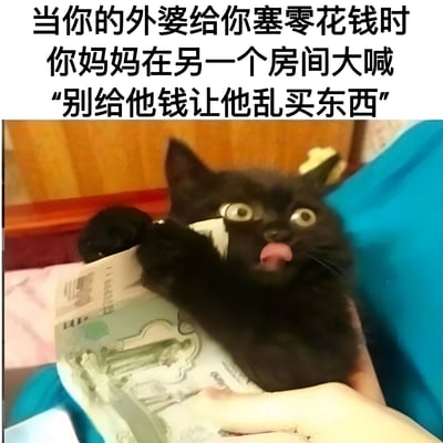 图片上方是黑色文字："当你的外婆给你塞零花钱时 你妈妈在另一个房间大喊'别给他钱让他乱买东西'"。下方是一只表情夸张的黑猫，瞪大眼睛、伸出舌头，爪子抱着一本打开的书，生动形象地表现出偷偷接受零花钱时既兴奋又紧张的心情。