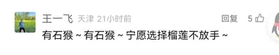 这是一张横版的社交媒体评论截图，来自用户王一飞，其定位显示为天津，评论发布于21小时前。截图左上角是用户的个人头像，呈现一个人站在户外草地的场景；评论内容为“有石猴～有石猴～宁愿选择榴莲不放手～”，这是运用谐音梗改编自王菲经典歌曲《红豆》的歌词，将原歌词里的“时候”谐音替换为“石猴”，“留恋”谐音替换为“榴莲”，用趣味化的文字玩梗，这条评论目前获得了5个点赞，界面右侧还有回复按钮。