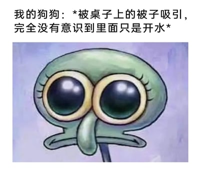 这是一张图文混排的趣味梗图，上方文字描述了自家狗狗的趣事：狗狗被桌子上的杯子（原文笔误为“被子”）吸引，满心期待地凑近，却完全没意识到杯子里只有开水；下方搭配了美国动画《海绵宝宝》里章鱼哥的衍生Q版表情包，章鱼哥眼睛圆大、眼神懵懂呆萌，完美契合狗狗那种充满期待、对真相一无所知的呆萌状态，用可爱的卡通形象放大了狗狗趣事的趣味性，让读者能直观感受到狗狗的小迷糊，风格治愈又搞笑。
