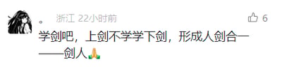 这是一张社交媒体平台的用户发布内容截图，左上角配有一个长发的卡通人物头像，发布者归属地显示为浙江，发布时间标注为22小时前，该内容获得了6个点赞。截图的核心是一段利用中文谐音创作的搞笑段子：“学剑吧，上剑不学学下剑，形成人剑合一——剑人”，其中“剑人”谐音“贱人”，通过这种谐音梗的方式，制造出带有讽刺感的幽默效果，结尾的合十表情进一步强化了戏谑的氛围。