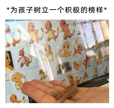这是一张充满趣味的网络梗图，顶部配有文字“*为孩子树立一个积极的榜样*”。画面中一只真实的鬃狮蜥被放置在人的手掌上，背景的电脑屏幕里铺满了宝可梦IP中小火龙的各类不同画风的卡通形象。图中通过现实生物与经典卡通角色的呼应，用拟人化的方式制造出“现实蜥蜴在向卡通小火龙学习，为同类树立积极榜样”的搞笑反差，将调侃文字与画面结合，营造出荒诞又幽默的效果，是对宝可梦IP的趣味二次创作。