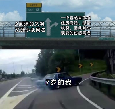 这是一张上下拼接的搞笑梗图，上半部分呈现高速公路分岔路指示牌，直行方向标注“A到爆的又飒又酷小众网名”，右转方向标注“一个看起来像刚经历离婚、感情破裂，因此封心锁爱的伤感网名”，模拟出两种当下流行的成熟风格网名选项；下半部分是一辆汽车在高速路上直接冲出了道路，配文“7岁的我”，用汽车完全不遵循指示牌选项、反而冲出道路的夸张画面，调侃7岁低龄儿童与这类成人向风格网名的强烈违和感，表现出低龄孩子对这类成熟内容完全不感兴趣的状态，通过反差感制造搞笑效果。