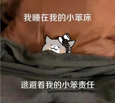图片上方有文字“我睡在我的小笨床”，下方有文字“逃避着我的小笨责任”。中间是一个卡通猫形象，戴着一顶小帽子，面带微笑地从被子里探出头来。背景是一张真实的床铺照片，营造出一种幽默地表达想要逃避责任、只想待在床上的轻松氛围。