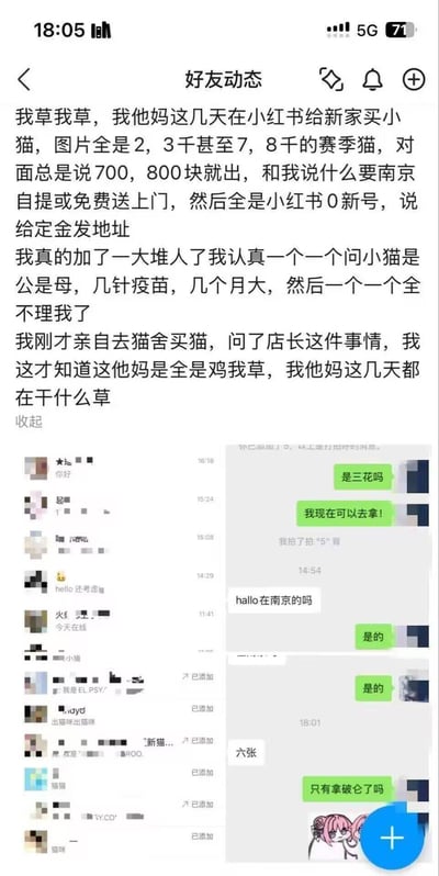 用户在小红书寻找低价赛级猫，遇到大量自称可低价出售高价品相猫咪的账号，要求南京自提或送上门，需付定金发地址。用户添加大量账号后，认真询问猫咪性别、疫苗、月龄等信息，却全部被对方无视。之后用户到线下猫舍咨询才得知这些都是机器人诈骗账号（文中“鸡”为“机”的谐音），意识到自己白忙活数日，在微信朋友圈发布动态崩溃吐槽，配图为自己添加的好友列表截图和与诈骗账号的部分聊天记录截图，满是气愤与无奈。