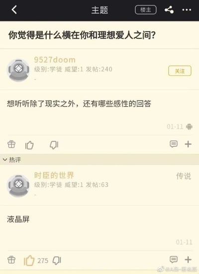 这是一张A岛匿名版论坛的竖屏截图，主题帖由用户“9527doom”发起，提问“你觉得是什么横在你和理想爱人之间？”，并补充说明希望得到除现实因素之外的感性回答。用户“时臣的世界”给出热评回复“液晶屏”，该回复获得了275个点赞。这个回答精准戳中了当下很多人的社交现状：人们常通过电子屏幕进行社交、接触他人，理想的爱人或许只存在于网络另一端，横在彼此之间的液晶屏就是电子设备的屏幕，是一种贴合网络社交时代的感性回应。