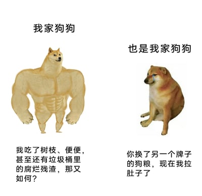 这是一张左右对比的搞笑网络梗图，左侧是被修改成拥有强壮肌肉的Doge柴犬，配文表现出它即便食用了树枝、便便、垃圾桶里的腐烂残渣这类肮脏物品，身体也毫无问题，态度十分嚣张；右侧是满脸泪痕、委屈坐着的Cheems柴犬，配文显示仅仅是主人更换了另一个牌子的狗粮，它就出现了拉肚子的状况。图中通过这种极具反差感的内容，调侃宠物狗狗肠胃的谜之状态，用夸张的对比展现出宠物在饮食上的离谱双标，充满搞笑趣味，精准戳中养宠人群的共鸣点。
