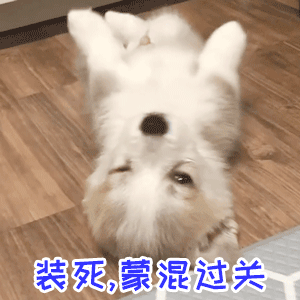 小狗装死蒙混过关的可爱瞬间