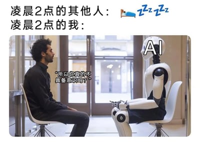 这是一张反差式的搞笑梗图，通过上下对比的方式展现深夜的不同状态：上方用“凌晨2点的其他人：”搭配睡觉的emoji，描绘出大多数人在深夜已经进入睡眠的常规状态；下方“凌晨2点的我：”引出核心场景——一名卷发男子坐在椅子上，正神情专注地和被标注为“AI”的机器人面对面交流，男子向AI提问“所以你真的不具备意识吗？”。整幅图用强烈的反差感，调侃了自己在深夜毫无睡意，反而陷入对AI意识这类深刻、小众问题的思考中，精准戳中了很多人深夜思绪泛滥、与AI进行深度交流的真实状态，充满了趣味性和共鸣感。