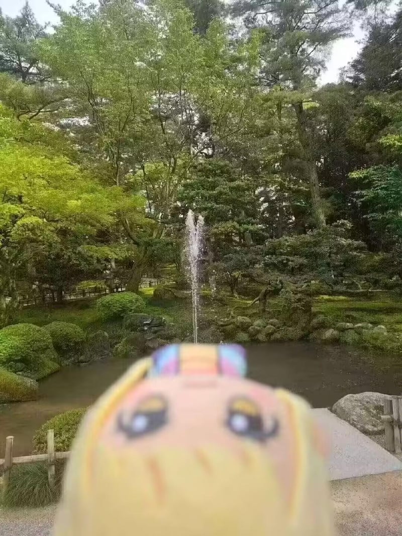 月野兔