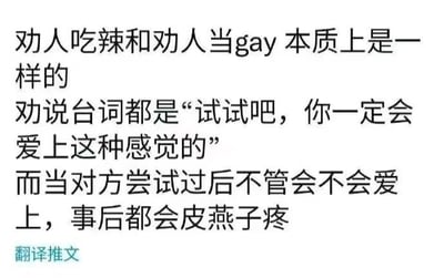 这是一张纯文字梗图，通过幽默类比的方式将“劝人吃辣”和“劝人当gay”两种行为联系起来。图中文字指出两者的劝说台词都是“试试吧，你一定会爱上这种感觉的”，并调侃称无论尝试后是否喜欢，“事后都会皮燕子疼”。这里的“皮燕子疼”是网络流行语，代指肛门疼痛，属于低俗幽默的隐喻表达。