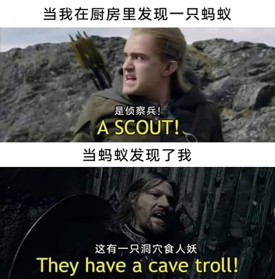 这是一张上下分栏的对比类搞笑梗图，通过双向视角的反差制造趣味效果：上半部分配文“当我在厨房里发现一只蚂蚁”，搭配《指环王》中莱戈拉斯的影视截图，配文“是侦察兵！A SCOUT!”，将厨房中出现的单只蚂蚁类比成敌方侦察兵，表现出人类对蚂蚁入侵厨房的警惕心态；下半部分配文“当蚂蚁发现了我”，搭配《指环王》中博罗米尔的影视截图，配文“这有一只洞穴食人妖 They have a cave troll!”，站在蚂蚁的视角将人类视作巨大的威胁性怪物，生动调侃了人类与蚂蚁在厨房相遇时，互相将对方视为“敌人”的有趣场景。