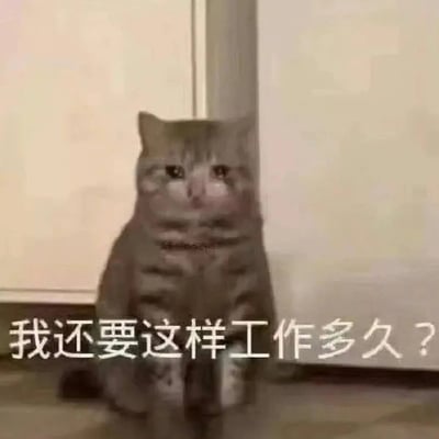 这张图是一只表情十分沮丧的猫咪坐在房间的一角，双眼湿润看起来略有哭腔，画面下方配有文字“我还要这样工作多久？”。整体营造了打工人日常丧丧的氛围，用猫咪无助的表情来表达职场倦怠、不满或无奈情绪，令人会心一笑。

该图有明显的情感投射和自嘲幽默，是网络常用的“丧文化”表情包，适合工作压力大时自嘲或者在职场吐槽时使用。画面没有谐音梗，但有一种“猫人代入职场人”的荒诞反差感。