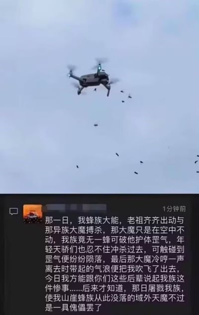 图片上半部分是一张无人机在空中飞行的照片，周围有许多小蜜蜂围绕。下半部分是一段虚构的武侠风格文字，讲述了一个蜂族大战「异族大魔」的故事，最后揭示所谓的「域外天魔」其实就是这架无人机。这种将现代科技物品（无人机）赋予古代神话色彩的描述方式，创造出一种荒诞幽默的效果。