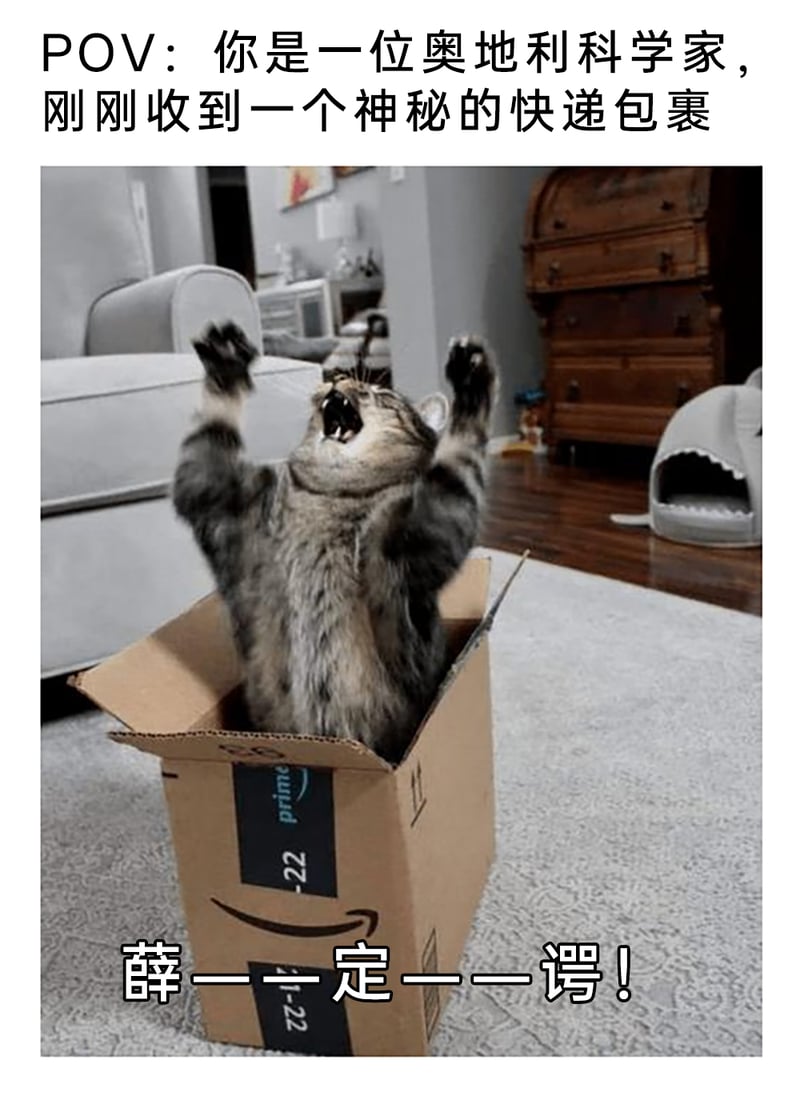 薛定谔的猫思想实验