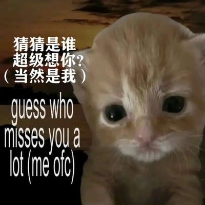 图片主体是一只浅色小奶猫的特写，它有着圆溜溜的黑色大眼睛，正直勾勾地盯着镜头，表情呆萌可爱。图片左侧和下方叠加了文字内容，左侧为中文“猜猜是谁 超级想你？（当然是我）”，下方为英文“guess who misses you a lot (me ofc)”。整体画面温馨俏皮，通过小奶猫的可爱形象和直白的文字，营造出一种亲昵、思念的氛围，适合用于向他人表达想念之情。