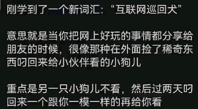 这是一张纯文字静态图，内容是对新网络热词“互联网巡回犬”进行生动的趣味解读。首先定义该热词：将把网上趣事分享给朋友的人，类比成在外叼回稀奇东西给伙伴看的小狗；随后补充这个梗的趣味核心——被分享的朋友起初并未查看内容，过两天却将一模一样的内容再分享回来，精准还原了网友间分享网络内容时的常见搞笑场景，用形象的比喻调侃了社交中这种重复分享的趣味现象，十分贴合日常网络社交的真实体验。