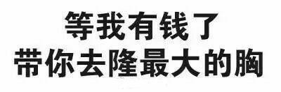 等我有钱了带你去隆最大的胸