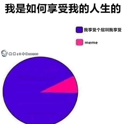 这是一张图文混排的静态模板改编图，顶部配有标题“我是如何享受我的人生的”，下方是一个比例悬殊的饼图：占比绝大多数的紫色区域标注着“我享受个屁啊我享受”，仅占极小部分的粉色区域标注“meme”。这张图用夸张的比例对比，以自嘲的口吻调侃当代人几乎没有真正享受人生的时间，只能通过看meme这类网络梗图来获取短暂的放松与乐趣，精准戳中了很多人在生活中感到疲惫、缺乏享受时刻的情绪，是很典型的网络自嘲类meme内容。