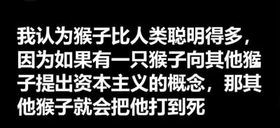 黑色背景上的白色文字，内容为：'我认为猴子比人类聪明得多，因为如果有一只猴子向其他猴子提出资本主义的概念，那其他猴子就会把他打到死'。通过幽默的方式讽刺资本主义制度，暗示人类接受资本主义可能是不够聪明的表现。