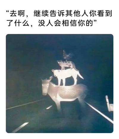 这是一张顶配底文的静态搞笑梗图，上方配有文字“去啊，继续告诉其他人你看到了什么，没人会相信你的”，下方画面呈现了夜晚公路上的荒诞场景：一头驴站在道路中，背上依次叠着一只白狗、一只花狗，最顶端还有一只鸡，形成违背现实逻辑的动物叠罗汉造型。文字与画面结合，营造出一种戏谑感，仿佛这些动物在挑衅观看者，精准戳中“亲眼目睹离谱事件却不被他人相信”的情绪，用荒诞的视觉效果放大这种无奈又好笑的处境。