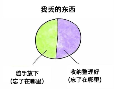 这是一张以饼图形式呈现的搞笑生活吐槽图，顶部配有标题“我丢的东西”。饼图被平均分割为绿色和紫色两部分，左侧绿色区域标注“随手放下(忘了在哪里)”，右侧紫色区域标注“收纳整理好(忘了在哪里)”，通过这种极端且幽默的分类，精准吐槽了部分人群不管是随意放置还是认真收纳物品，最终都会忘记物品位置、找不到东西的日常窘境，用夸张的方式引发有相同经历人群的共鸣。