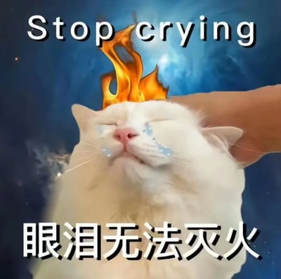 图片主体是一只白色猫咪，双眼紧闭，脸上挂着明显的泪珠，正处于哭泣状态。猫咪头顶被P上了一团燃烧的橙色火焰，背景为深蓝色带有光斑的类似宇宙或星空的场景。图片上方有白色英文文字“Stop crying”，下方有白色加粗中文文字“眼泪无法灭火”。整体通过猫咪流泪与头顶火焰的矛盾场景制造幽默效果，暗示哭泣解决不了当前困境（火焰象征问题，眼泪无法灭火即情绪无法解决实际问题）。