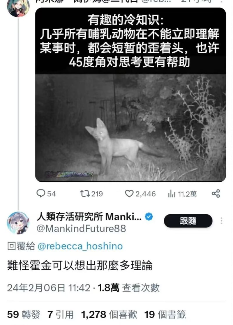 狐狸