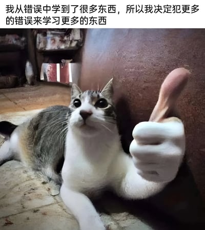 图片中是一只表情惊讶的猫，它的爪子被PS成了人类的手并做出竖大拇指的姿势。图片上方配有文字：'我从错误中学到了很多东西，所以我决定犯更多的错误来学习更多的东西'，以幽默的方式表达了从错误中学习的概念。