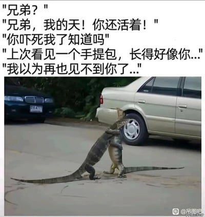 这是一张趣味拟人梗图，画面主体是两只在路面上做出拥抱姿态的巨蜥，它们的动作酷似人类久别重逢的模样。图片上方添加了一系列拟人化对话，模拟其中一只巨蜥见到“兄弟”时的惊喜与后怕，提到曾看到和对方花纹相似的手提包，误以为对方遭遇不测，将动物的互动赋予人类的情感与脑洞场景，制造出荒诞搞笑的效果。