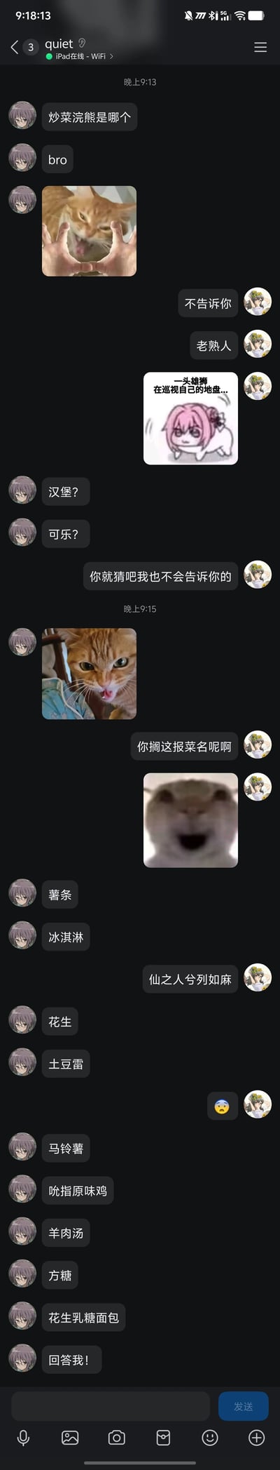 这是一段QQ平台的私人聊天记录截图，聊天双方为两位使用动漫头像的用户。左边用户（ID为quiet，紫发眼镜动漫头像）先询问“炒菜浣熊是哪个”，之后不断报出汉堡、可乐、薯条、冰淇淋等各类食物名称来进行猜测，还发送了橘猫相关的趣味表情包；右边用户（黄花发带动漫头像）一开始表示“不告诉你”，称对方是“老熟人”，还发送了“一头雄狮在巡视自己的地盘”的动漫梗图、张嘴猫咪表情包来调侃对方，吐槽对方“搁这报菜名呢啊”，还用“仙之人兮列如麻”来回应对方的连续提问，最后左边用户连续发送多个食物名称后要求对方回答，全程是好友间轻松搞笑的趣味互动。