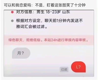 这是一张社交平台聊天界面的截图，展示了一个搞笑的词汇过滤系统漏洞。图中显示对方是18-23岁的山东男生，系统提示聊天前1分钟内发送不雅词汇会被过滤。有趣的是，聊天双方用"月?"和"L?"进行交流，可能是在测试或规避过滤系统。顶部评论"不是，盯着这张图笑了十分钟"表达了对这个搞笑场景的反应。