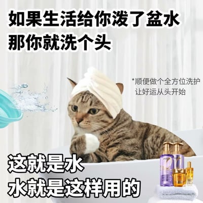 这张梗图画面是一只戴着浴巾猫头巾、摆出思考姿势的猫咪，坐在盆里，仿佛准备洗头。主文案说“如果生活给你泼了盆水，那你就洗个头”，用幽默的方式表达了遇到倒霉事时积极乐观、转换视角的生活态度。猫咪的憨态配上洗护用品和水花，搞笑又带有自我调侃的色彩，适合用来安慰自己或朋友。还有“这就是水、水就是这样用的”、顺带做了“好运从头开始”的文字延伸，暗示将困境视为转机。整个氛围轻松、治愈。没有明显的谐音梗，但有点双关（把“泼水”转化为“洗头”）。