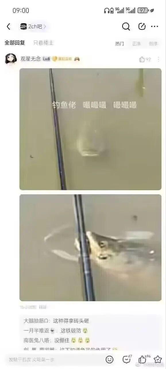 鱼