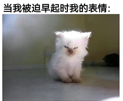 图片上方有文字'当我被迫早起时我的表情:'，下方是一只表情不悦的白色猫咪，它一只眼睛半睁，看起来非常不情愿和困倦，完美诠释了人们被迫早起时的心情。