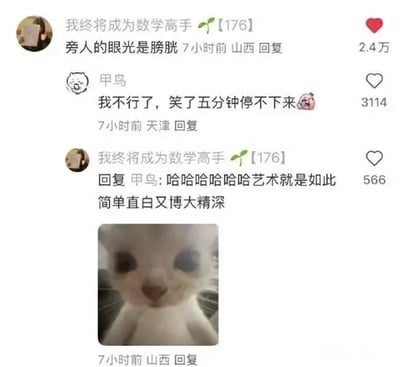 社交媒体聊天记录截图，用户“甲鸟”留言“我不行了，笑了五分钟停不下来😂”，获“我终将成为数学高手”回复“哈哈哈哈哈哈哈哈艺术就是如此简单直白又博大精深”，并附一张呆萌猫咪直视镜头的照片，评论区互动充满欢乐搞笑氛围。