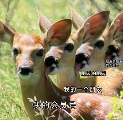 这是一张用来调侃会员号被层层转借的搞笑梗图，通过拼接四只鹿的形象，为每只鹿标注了不同的层级角色：最前方的是“我的会员号”，依次往后是“我的一个朋友”“朋友的朋友”“朋友的朋友的女朋友”，后方三只鹿伸舌头的动作，生动地表现出会员号从自己手里开始，被朋友、朋友的朋友乃至更不相关的人不断转借使用的状态，形象又幽默地还原了很多人在生活中遇到的会员号被多人借用的尴尬与无奈，引发网友共鸣。