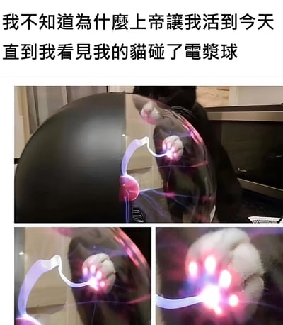 图片上方有文字'我不知道为什么上帝让我活到今天 直到我看见我的猫碰了电浆球'，下方是由三张图片组成的拼图。主图展示了一只猫正在用爪子触碰一个黑色的电浆球，电浆球内有紫色的电流线被猫爪吸引。左下角的图片是猫爪触碰电浆球的特写，右下角的图片则是猫爪与电浆球接触点的更近特写，显示出电流集中在猫爪上的效果。整体画面幽默有趣，展现了猫咪对新奇事物的好奇与互动。