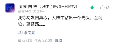 这是一张社交媒体的评论截图，展示了一条被置顶的用户评论。评论用户的昵称是“我爱国博（记住了是越王州勾剑”，该用户在该平台留言14次、关注时长1年，评论内容罗列了多个中文互联网上的经典鬼畜与网络梗：“我练功发自真心”“人群中钻出一个光头”“金坷垃”“蓝蓝路”。该评论获得了24个点赞，被设置为置顶状态，页面显示共有1条回复，最新回复时间为昨天23:08。