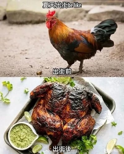 这是一张上下对比的搞笑梗图，顶部配文“夏天出街be like”，上方图片是一只精神抖擞的活公鸡，标注“出街前”，用来类比人在夏天出门前的精神状态；下方图片是一只被烤得焦黑的烤鸡，标注“出街後”，类比人在夏日高温下出门后，仿佛被“烤”过一样的燥热状态。图中用夸张的比喻和对比手法，生动又幽默地调侃了夏日的炎热，容易引发经历过高温天气的网友的共鸣。