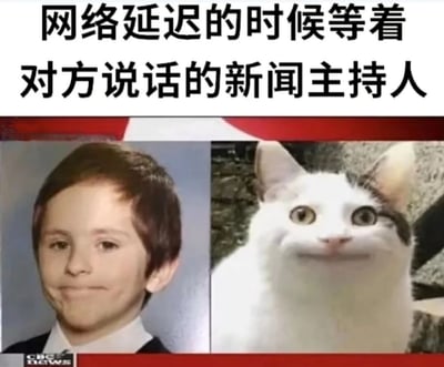 这是一张搞笑梗图，通过分屏对比的方式展示了网络延迟时新闻主持人等待对方说话的场景。左侧是一位表情严肃的男孩（模拟新闻主持人），右侧是一只表情期待的白猫（模拟网络延迟另一端的人）。图片上方配有文字“网络延迟的时候等着对方说话的新闻主持人”，幽默地表现了人们在网络延迟时等待回应的常见经历。