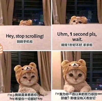 这是一组四格连环图文混排图，主角是一只戴着轻松熊造型头套的软萌猫咪。第一格中猫咪从桌后探出头，配文“别刷手机啦”，吸引正在刷手机的人的注意力；第二格猫咪露出整张脸，配文“就停1秒好不好 求求啦”，用撒娇的语气请求对方暂停片刻；第三格猫咪趴在桌面上，配文“我就是来看看你，希望你一切都好”，传递出关切的问候；第四格猫咪保持趴在桌上的姿态，配文“我为你一直以来的努力感到骄傲，即使没有人看到它”，给予对方暖心的肯定与鼓励。整体画面风格治愈温柔，通过可爱的猫咪形象和温暖的文字，给正在刷手机的人带来慰藉，适合用来向朋友表达关心或是自我鼓励。