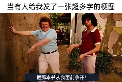 图片上方有文字'当有人给我发了一张超多字的梗图'，下方是《宿醉2》电影截图，展示两个男人在小巷中的夸张反应，底部配有文字'把那本书从我国面前拿开!'。通过电影中人物对书本的抗拒反应，幽默地表达了人们面对文字过多的梗图时的不耐烦情绪。