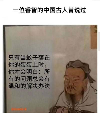 这张梗图用戏谑的方式模仿经典的中国古代人物画像，并配以仿古睿智口吻的话：'只有当蚊子落在你的蛋蛋上时，你才会明白：所有的问题总会有温和的解决办法'。通过贴近生活且带有生理双关的幽默方式，讽喻暴力和粗暴不能解决一切问题。该梗图善用反差和生活化细节，暗示有些情况只能温柔处理。图片带有明显的网络恶搞和谐音梗（蛋蛋=睾丸，也指'简单'），整体风格诙谐轻松，易引发共鸣和二次创作。

**双关/暗示说明**：
- 使用了'蛋蛋'的生活化及谐音梗。
- 以'温和的解决办法'呼应敏感部位无法粗暴对待，带有调侃与反向智慧感。