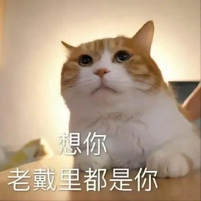 图片中是一只橘白相间的胖猫，它有着大大的圆眼睛，正仰头向上注视，表情看起来既可爱又带着一丝期盼。猫的毛发蓬松柔软，背景是柔和的室内光线，显得温馨。图片下方有白色文字：“想你 老戴里都是你”，直白地表达了对名为“老戴”的人的思念之情。