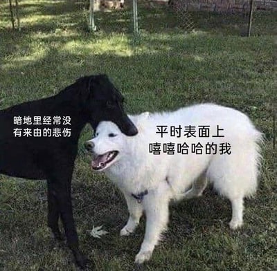 这张梗图以真实的宠物户外照片为基础，通过文字标注将两只狗狗分别对应人的两种情绪状态：画面右侧的白色萨摩耶犬咧嘴大笑，神态欢快，对应“平时表面上嘻嘻哈哈的我”，代表人们在他人面前展现出的乐观开朗模样；左侧的黑色犬只低着头，将脑袋搭在萨摩耶的头上，神态低落沉静，对应“暗地里经常没有来由的悲伤”，象征着人们独处时涌上心头的莫名低落情绪。图片生动刻画了当代人“外向孤独症”的情绪状态，精准戳中大众的情绪共鸣点。
