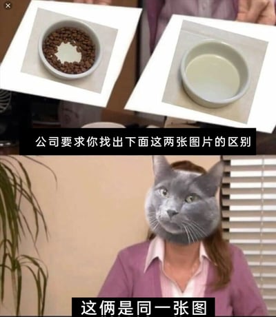 这是一张上下分栏的搞笑职场梗图，上半部分呈现了两张猫粮碗的对比图：一张碗内的猫粮围成环形，中间区域空着，另一张则是完全空着的碗，搭配文字“公司要求你找出下面这两张图片的区别”，模拟职场中布置的形式主义任务；下半部分是将美剧《办公室》角色的头部替换为灰色猫脸的合成形象，配文“这俩是同一张图”，从猫的视角出发，空碗和只剩一圈猫粮的碗本质都是没有可吃的粮食，以此敷衍无意义的找不同任务，用幽默的方式讽刺职场中存在的形式主义工作，精准戳中打工人对这类冗余任务的敷衍心态，引发共鸣。