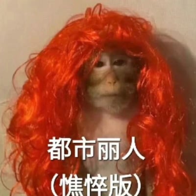图片中是一只表情略显疲惫的猴子，它戴着一顶鲜艳的红色卷发假发，整体造型滑稽。图片下方配有文字“都市丽人（憔悴版）”，通过将猴子疲惫的神态与“都市丽人”这一通常象征精致时尚的词汇结合，形成强烈反差，营造出幽默搞笑的效果，暗讽现代都市生活中人们虽追求光鲜亮丽却常感疲惫的状态。
