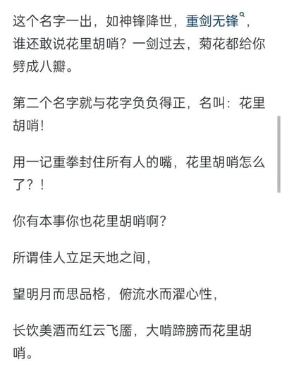 这是一段充满反差感的原创趣味文案，文案先以「重剑无锋」的硬核霸气反驳对「花里胡哨」的负面评价，随后反其道而行之，直接将「花里胡哨」作为名字，用强势的语气消解这个词的贬义色彩。最后部分将「望明月思品格」这类高雅的文人意境，与「大啃蹄膀」的接地气场景结合，用「花里胡哨」收尾，形成强烈的亦庄亦谐的反差感，把原本略带贬义的「花里胡哨」，解读成一种洒脱自在、不受拘束的生活态度，整体风格玩梗有趣，脑洞十足。