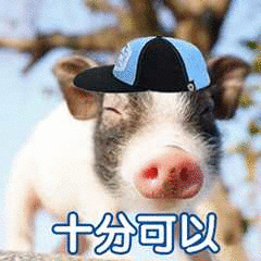 戴帽子的小猪表示‘十分可以’