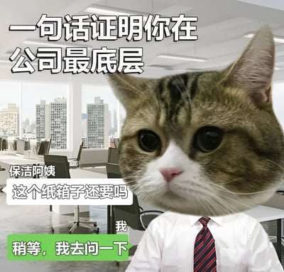 This meme features a sad-looking cat in an office environment. The top text reads '一句话证明你在公司最底层' (One sentence to prove you're at the bottom of the company hierarchy). Below, there is a dialogue: a cleaning auntie asks if the cardboard box is still needed, and the response is '稍等，我去问一下' (Wait, I'll go ask someone). This humorously portrays the helplessness of being at the lowest level in a company, where even trivial decisions require consulting others.
